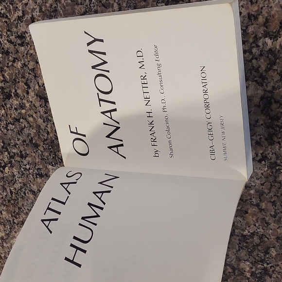 Atlas of Human Anatomy by Dr Frank Netter, MD 1994 softcover - Picture 8 of 9